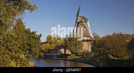 Dreigeschossige holländische Galerie im Knockster tief, Hinte, Ostfriesland, Niedersachsen, Deutschland, Europa Stockfoto