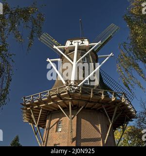 Dreigeschossige holländische Galerie im Knockster tief, Hinte, Ostfriesland, Niedersachsen, Deutschland, Europa Stockfoto