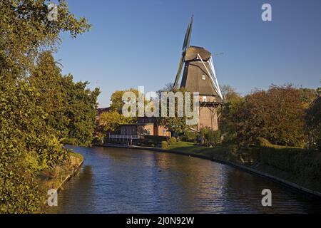 Dreigeschossige holländische Galerie im Knockster tief, Hinte, Ostfriesland, Niedersachsen, Deutschland, Europa Stockfoto