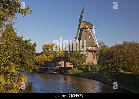 Dreigeschossige holländische Galerie im Knockster tief, Hinte, Ostfriesland, Niedersachsen, Deutschland, Europa Stockfoto