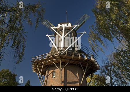 Dreigeschossige holländische Galerie im Knockster tief, Hinte, Ostfriesland, Niedersachsen, Deutschland, Europa Stockfoto