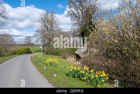 Blick auf Coworth Park, ein Landhotel in einer Parklandschaft in der Nähe von Ascot, B.. Stockfoto