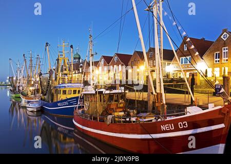 Fischerhafen am Abend, Neuharlingersiel, Ostfriesland, Niedersachsen, Deutschland, Europa Stockfoto