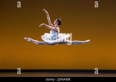 Das London Coliseum, Großbritannien. 19. März 2022. Generalprobe für die Charity-Gala ‘Dance for Ukraine’ unter der Leitung der ehemaligen Royal Ballet-Stars Ivan Putrov (Ukraine) und Aline Cojocaru (Rumänien), um Spenden für Menschen in Not in der Ukraine zu sammeln. Der Erlös aus der Veranstaltung geht an das Disaster Emergency Committee (DEC), Ukraine Humanitarian Appeal und wird von der Tanzkaritation Inspiration in Motion produziert. Bild: Mayara Magri spielt Le Corsaire während der Probe. Quelle: Malcolm Park/Alamy Live News Stockfoto