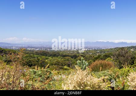 Panoramablick auf Kapstadt und die Natur, Kirstenbosch. Stockfoto