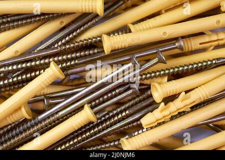 Bund von Gewindebohrschrauben mit Kunststoffdübel für die Befestigung. Selektiver Fokus. Nahaufnahme. Stockfoto