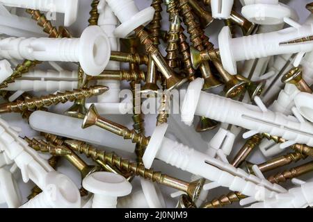 Bund von Gewindebohrschrauben mit Kunststoffdübel für die Befestigung. Selektiver Fokus. Nahaufnahme. Stockfoto