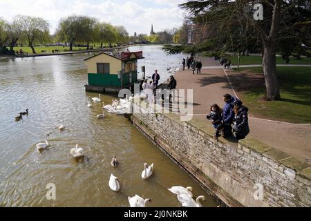 Familien ernähren Schwäne in Stratford-upon-Avon, Warwickshire. Bilddatum: Sonntag, 20. März 2022. Stockfoto