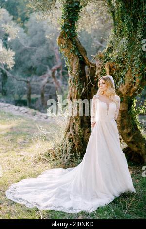 Die Braut in einem weißen Kleid steht in der Nähe eines efeubedeckten Baumes im Park Stockfoto