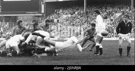 England gegen Australien Australian UK Tour 3.. November 1984 New England Kapitän Nigel Melville holt sich den Ball während des Spiels gegen die Wallabies in Twickenham. Die Australier haben das Spiel 19 - 3 gewonnen Stockfoto