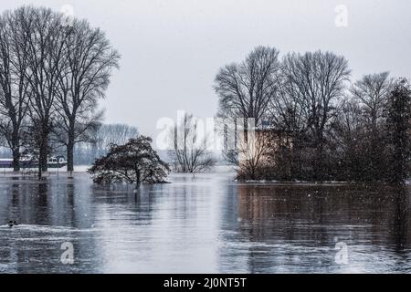 Hochwasser auf dem Rhein bei Köln im Winter Stockfoto