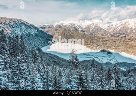 Verschneite Berge und Bäume in den alpen. Blick auf den Eibsee. Deutschland. Stockfoto