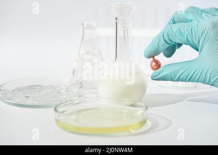 Test von kosmetischen Produkten in Kapseln im Labor. Hand in medizinischen Handschuhen halten Kapsel für die Hautsicherheit Tests. Labor Petrischalen und Glaswaren. Grausamkeit frei Kosmetik Stockfoto