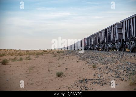 Güterwagen des längsten Zuges der Welt, Region Tiris Zemmour, Mauretanien Stockfoto