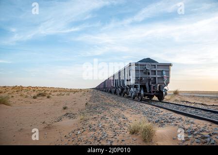 Güterwagen des längsten Zuges der Welt, Region Tiris Zemmour, Mauretanien Stockfoto