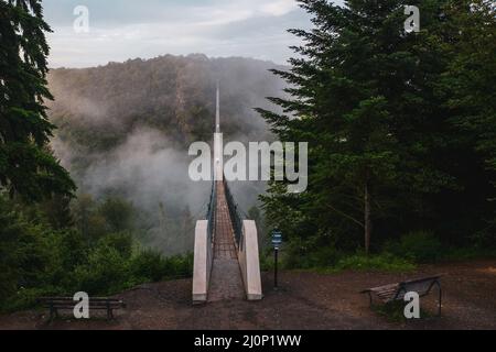 Panoramablick auf die Hängebrücke Geierlay in ihrer ganzen Länge Stockfoto