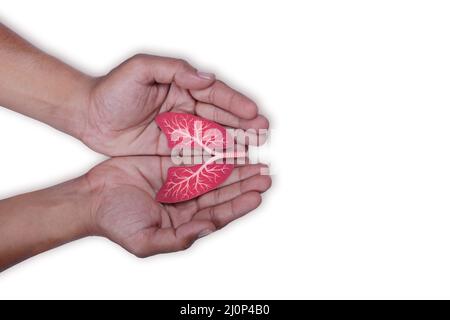 Hände, die die Lunge halten, Welttag der Tuberkulose, Welttag des Tabakkonsums, Lungenkrebs, pulmonale Hypertonie, Lungenentzündung, copd, Umweltverschmutzung, Organ donati Stockfoto