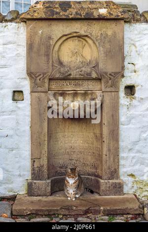 Der Queen Victoria Memorial Fountain, entworfen von Lady Feodora Gleichen, befindet sich in der weiß getünchten Wand an der Spitze von Clovellys berühmtem Kopfsteinpflaster Stockfoto