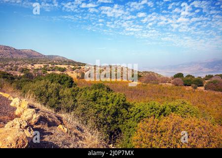 Hügel nahe dem See von Galilee, Israel Stockfoto