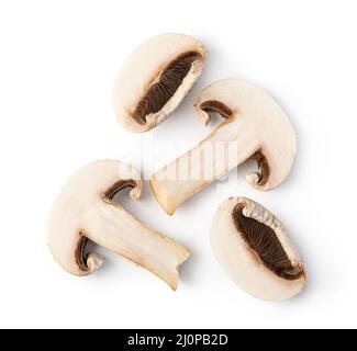 Pilze auf weißem Hintergrund Stockfoto