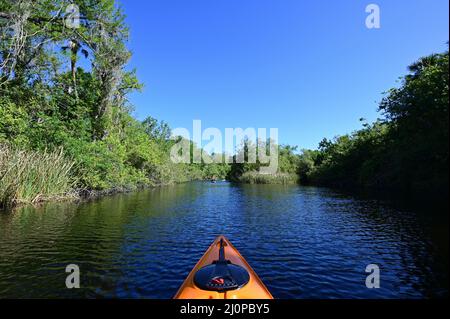 Kajakfahren auf dem Turner River im Big Cypress National Preserve, Florida an einem klaren, kühlen Wintermorgen. Stockfoto