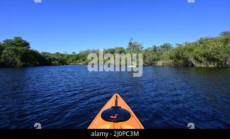 Kajakfahren auf dem Turner River im Big Cypress National Preserve, Florida an einem klaren, kühlen Wintermorgen. Stockfoto