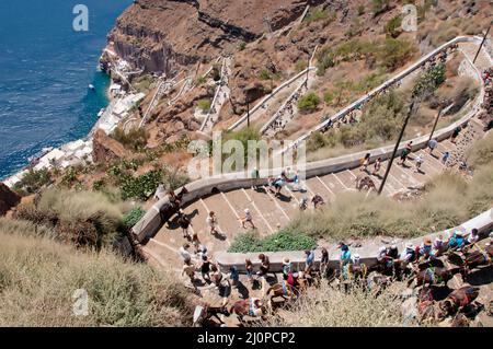 Esel und Touristen in Fira Treppe auf der Insel Santorini, Griechenland. Stockfoto