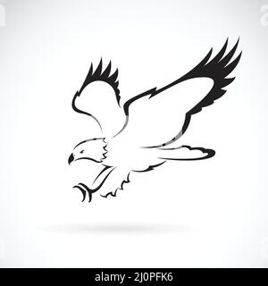 Vektor von Adler-Design auf weißem Hintergrund, Wilde Tiere. Leicht editierbare Vektorgrafik mit Ebenen. Stock Vektor