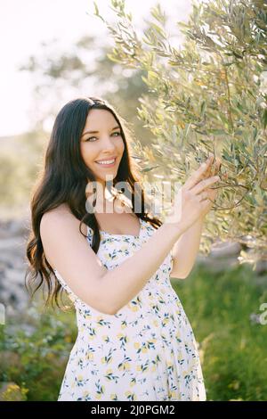 Eine Schwangere hält einen Olivenbaum mit ihren Händen Stockfoto