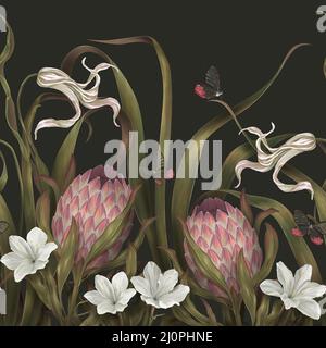 Dunkles exotisches Muster. Tapete mit rosa protea und weißen Blüten Lilien und Tulpen. Floraler Rand, dunkler Hintergrund. Handgezeichnetes realistisches Panorama ho Stockfoto