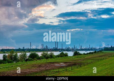 Panoramablick auf eine Chemiefabrik am Rhein Stockfoto