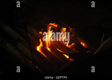 Feuer für fertige Bambushühner bei einem nächtlichen Ausflug im Sajek-Tal von bangladesch Stockfoto