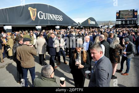 Tag 1 des Cheltenham Festivals auf der Cheltenham Rennbahn. Die Tore öffnen sich und die Menschenmassen stürzen ein Bild von Mikal Ludlow Photography Tel; 078 Stockfoto