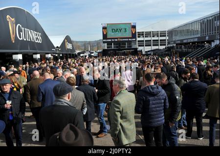 Tag 1 des Cheltenham Festivals auf der Cheltenham Rennbahn. Die Tore öffnen sich und die Menschenmassen stürzen ein Bild von Mikal Ludlow Photography Tel; 078 Stockfoto