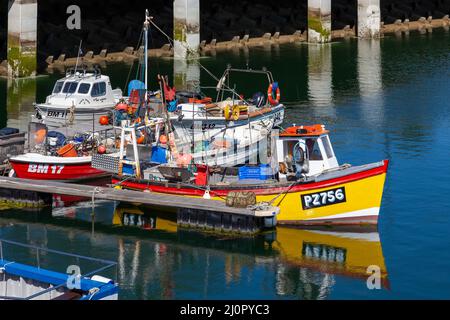 TORQUAY, DEVON/UK - 28. JULI : Fischerboote im Hafen von Torbay Devon am 28. Juli 2012 Stockfoto