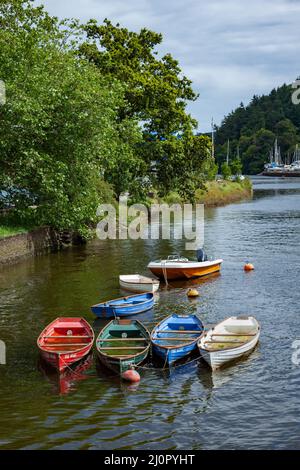 TOTNES, DEVON, Großbritannien - 29. JULI: Wasserrudern auf dem River Dart in der Nähe von Totnes am 29. Juli 2012 Stockfoto