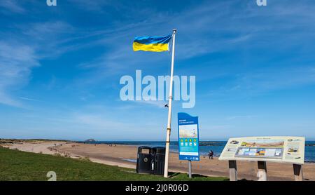 Ukrainische Flagge auf Fahnenmast bei Sonnenschein, West Beach, North Berwick, East Lothian, Schottland, VEREINIGTES KÖNIGREICH Stockfoto