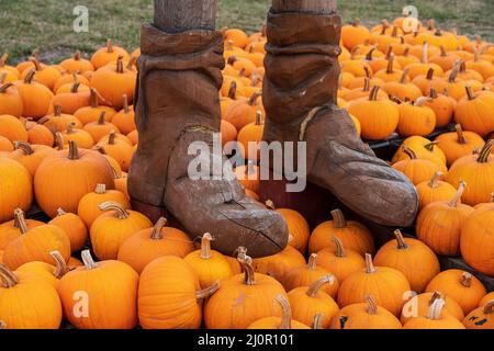 Holzschuhe auf orange Kürbisse im Park Stockfoto