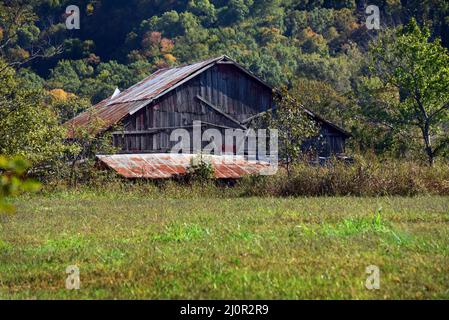 Unregelmäßige, durchkreuzte Bretter scheinen die Außenwand des alten Stalls an Ort und Stelle zu halten. Barn liegt in den Ozark Mountains in North Arkansas. Rostiges Blechdach, und Stockfoto