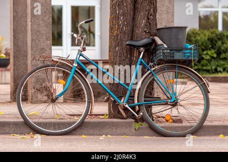 Altes Fahrrad, das auf dem Baum gelehnt ist Stockfoto