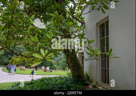 08-06-2021. Devon, Großbritannien. Agatha Christie's Greenway House. Ehemaliges Ferienhaus der Buchautorin Agatha Christie. Greenway House and Garden. Stockfoto