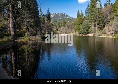 Fulmor Lake Picnic Area in Idylwild, Kalifornien Stockfoto