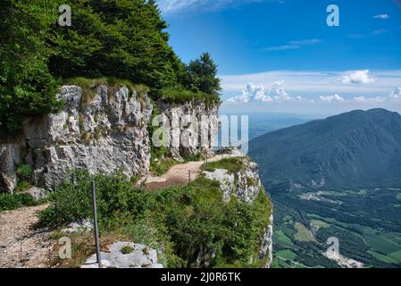 Wanderweg auf dem Monte Cengio auf dem Hochplateau von Asiago in Italien. Tragisches Szenario des Ersten Weltkriegs Stockfoto