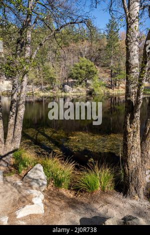 Fulmor Lake Picnic Area in Idylwild, Kalifornien Stockfoto