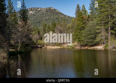 Fulmor Lake Picnic Area in Idylwild, Kalifornien Stockfoto