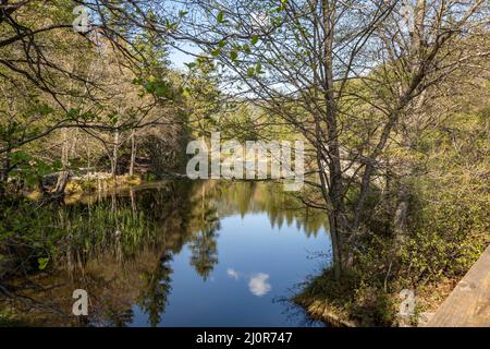 Fulmor Lake Picnic Area in Idylwild, Kalifornien Stockfoto