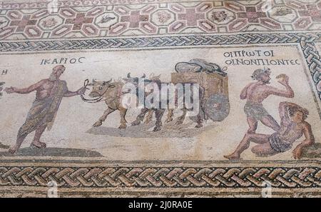 Haus von Dionysos, Zypern: Die römische Bodenmosaik zeigt Icarios, die die Zügel eines mit Ochsen angetriebenen, doppelrädrigen Wagens halten, gefüllt mit Säcken Wein. Stockfoto