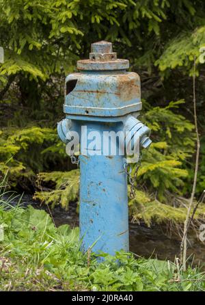 Ein alter, rostiger Hydrant aus blauem Metall in der Nähe des Waldes. Nahaufnahme. Details. Stockfoto