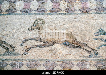 Ein Jagdmosaik, das einen Hund zeigt, der Hirsche im Haus des Dionysos, Archäologischer Park von Paphos, Paphos, Zypern, jagt. Stockfoto