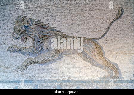 Haus des Dionysos, Paphos, Zypern: Jagdszene Römisches Bodenmosaik ein aufladender Löwe. Stockfoto